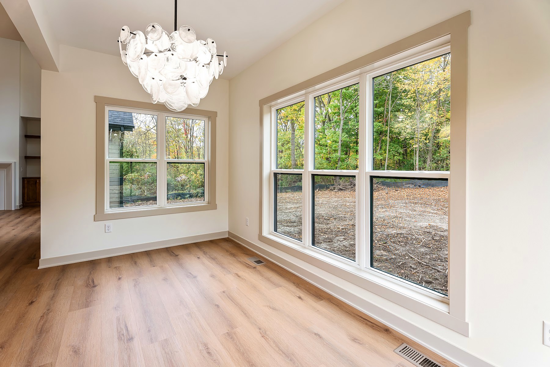 Dining Room Windows