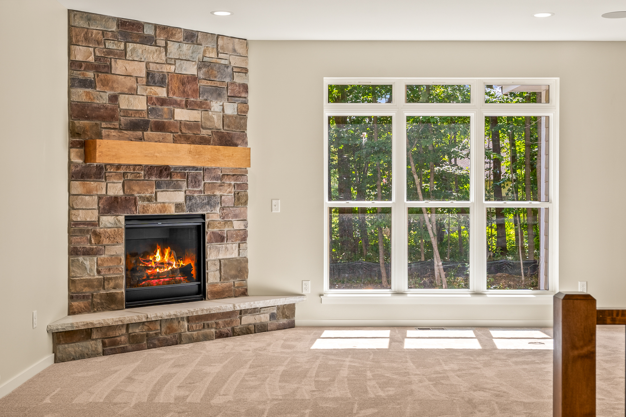 Fireplace & Windows